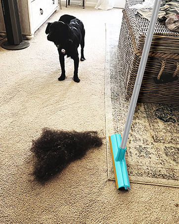 carpet rake for pet hair removal