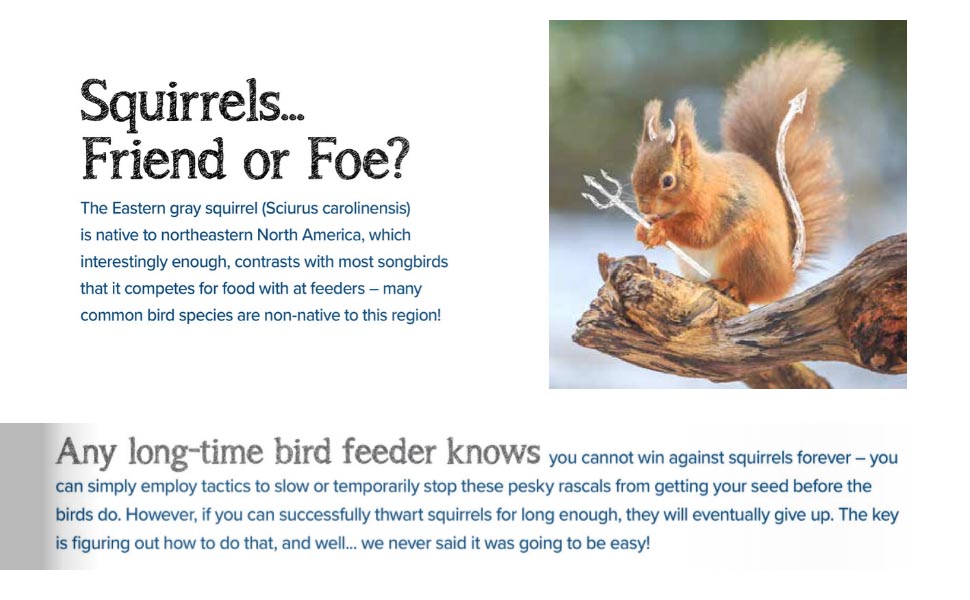 Backyard Seeds Fiery Surprise Hot Pepper Flavored Bird Seed