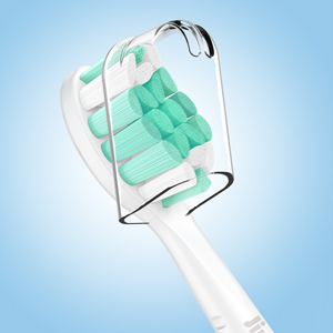 replacement toothbrush heads