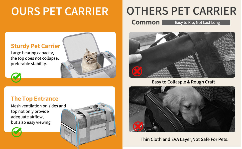 small cat carrier