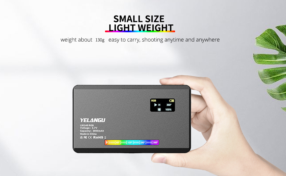 Small size and light weight