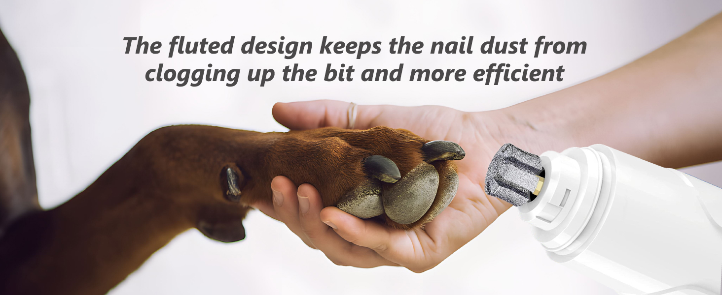 Casfuy Bonve LuckyTail Boshel LOPSIC nail grinder head