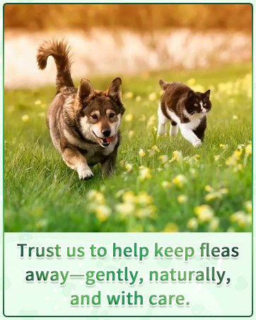 oral flea treatment for dogs and cats