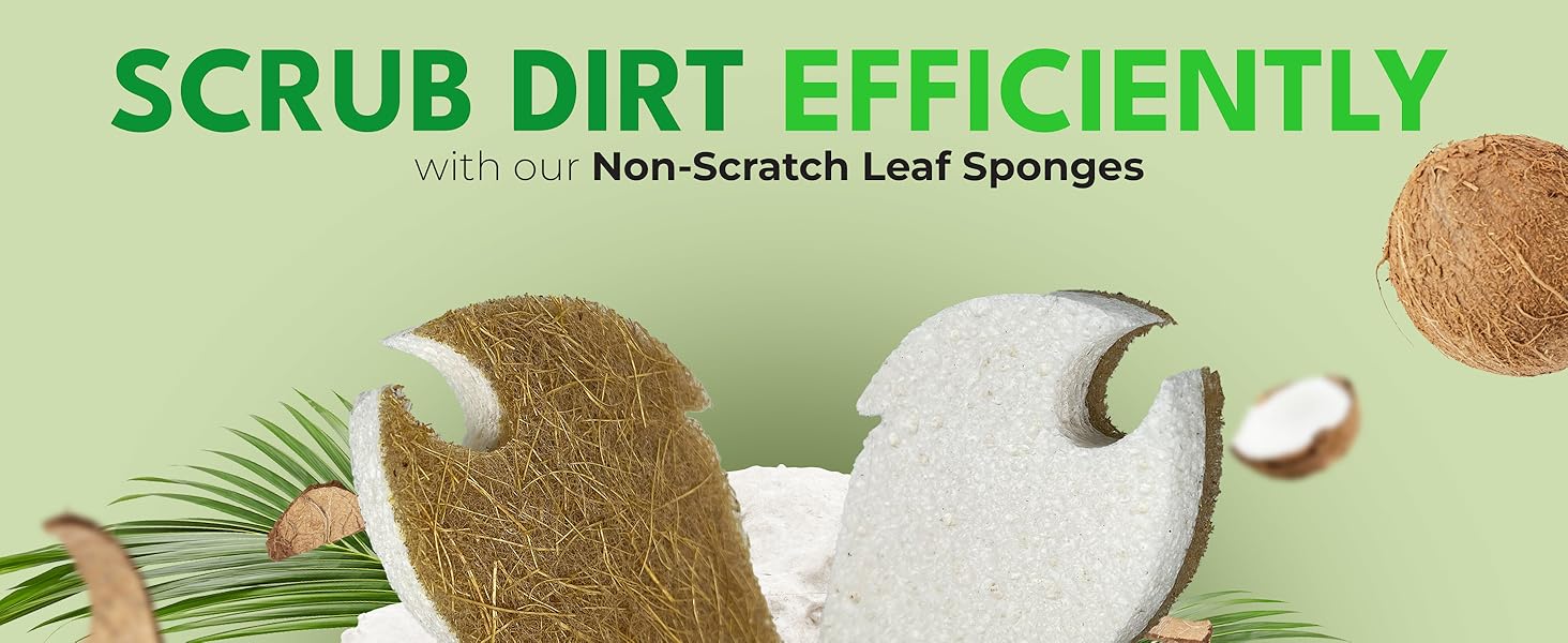 Leaf Sponges
