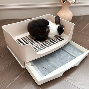 Large Rabbit Litter Box