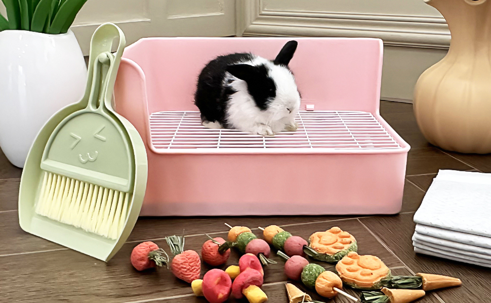 large rabbit litter box