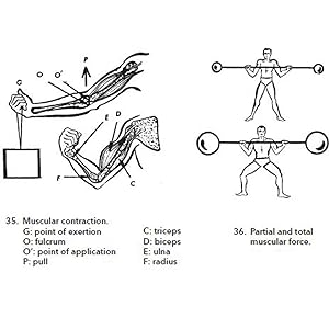 Small manufacture image 4