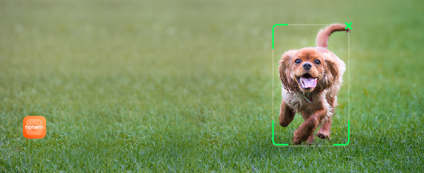 phone stabilizer for video recording