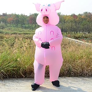 Pig Costume