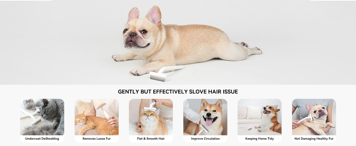 aumuca Cat Dog Comb for Short Haired Cats Dogs, Painless Cat Brush Deshedding Comb with Gentle Tooth, Effectively Remove Loose Hair 18 dog brush