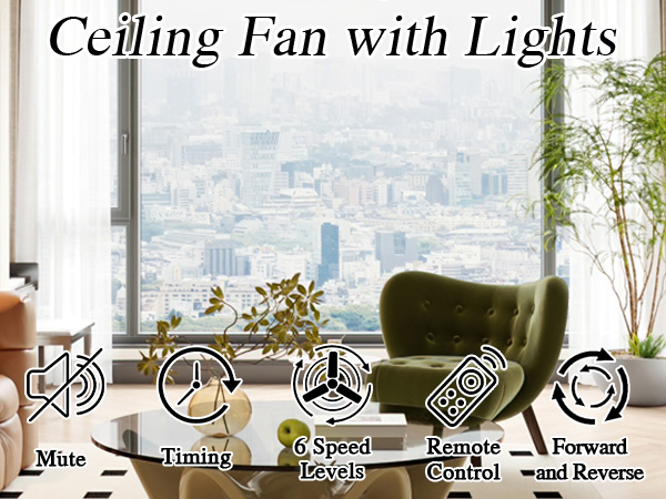 ceiling fan with light 