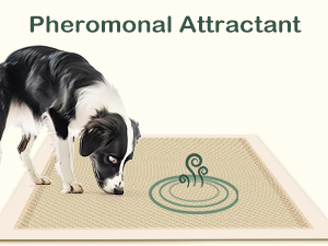 Pheromonal Attractant