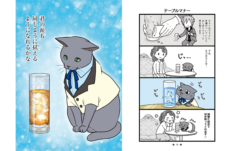 とある猫様せんよう 71lEQjd7w8L._UF1000,1000_QL80_.jpg