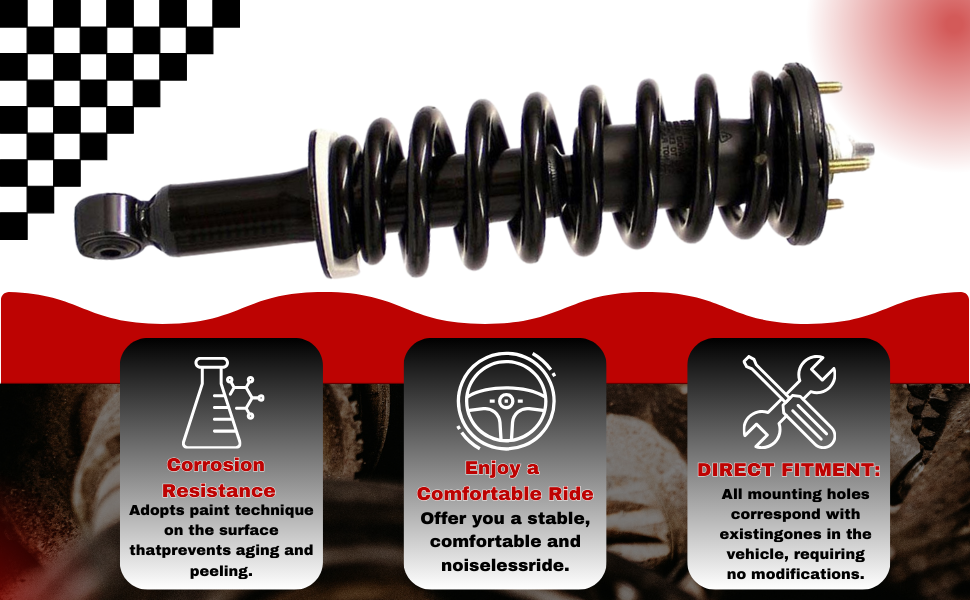 Strut and Coil Spring Assembly7