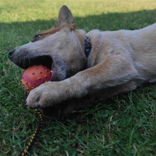 Small manufacture image 1