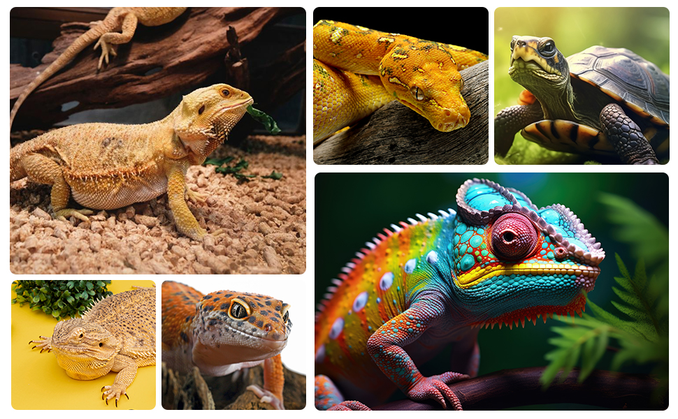 T5 uvb reptile light fixture