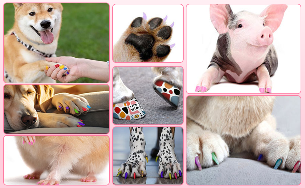 Safe nail polish pens for dogs non toxic