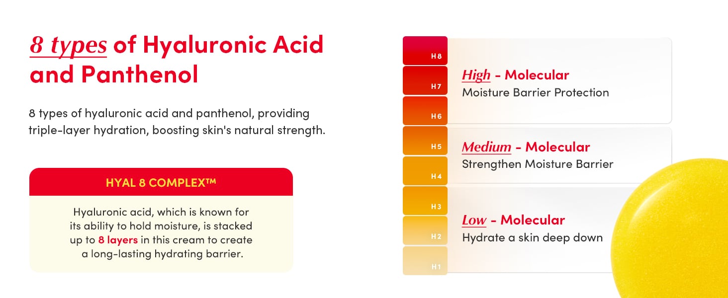 153886a8-bf7f-438e-a616-b934d4dc6a5a.__CR0,0,1464,600_PT0_SX1464_V1___.jpg (1464×600)