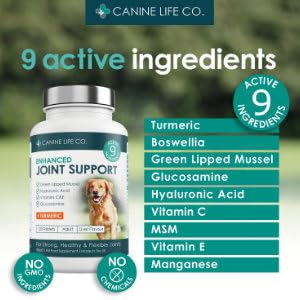 Enhanced Joint Support For Adult Dogs - 9 Active Ingredients
