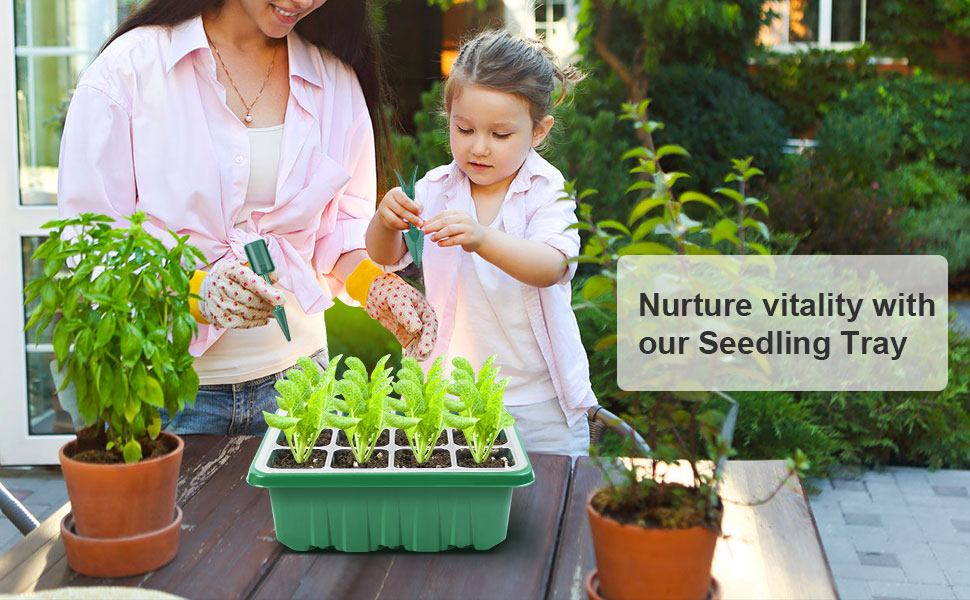 seed growing kit