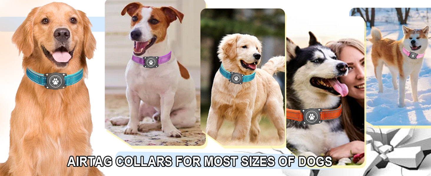 dog collar with airtag holder waterproof