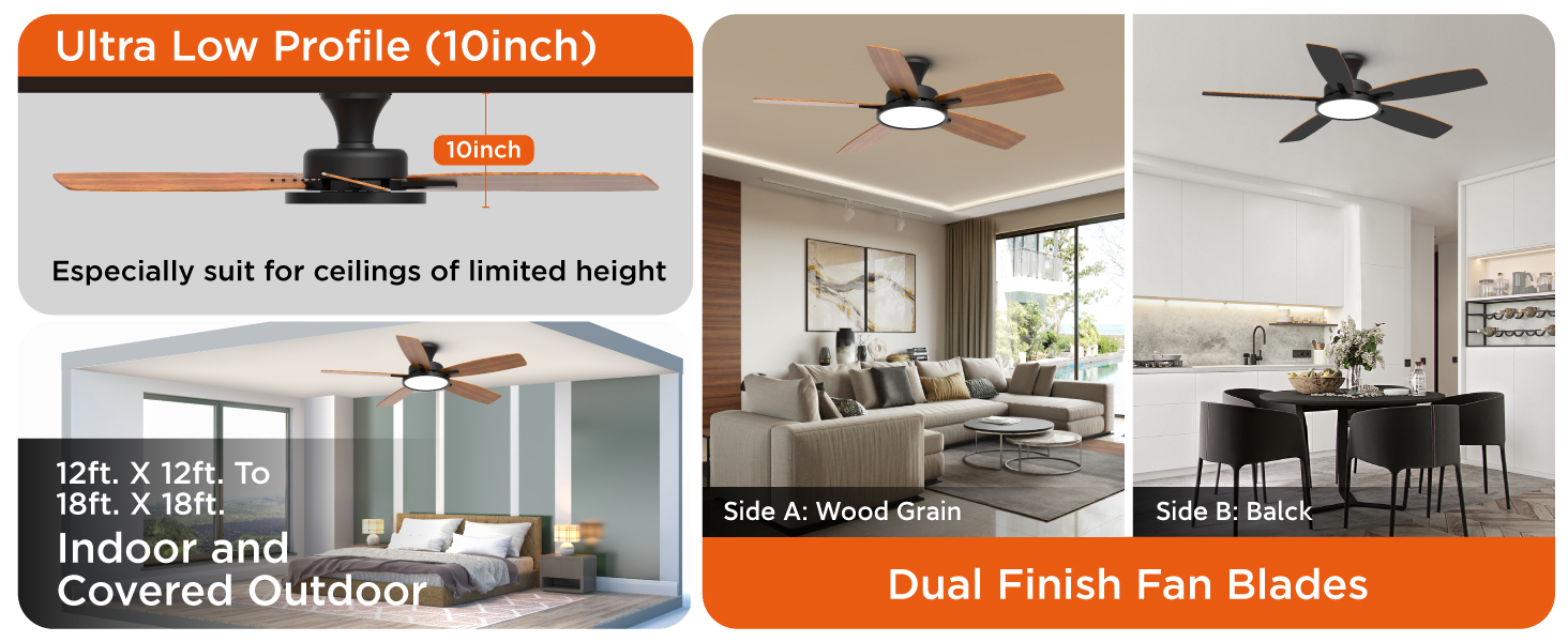 lighting &amp; ceiling fans