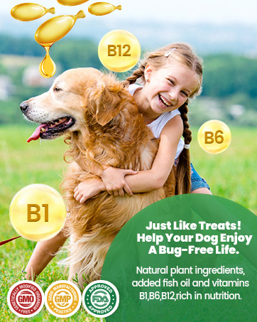 Flea and Tick Prevention for Dogs