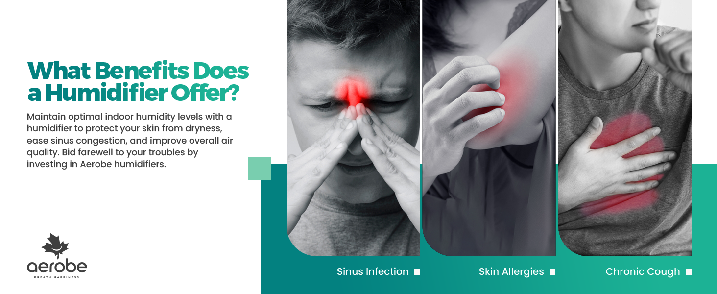 diffuser humidifers office cold steam best use 