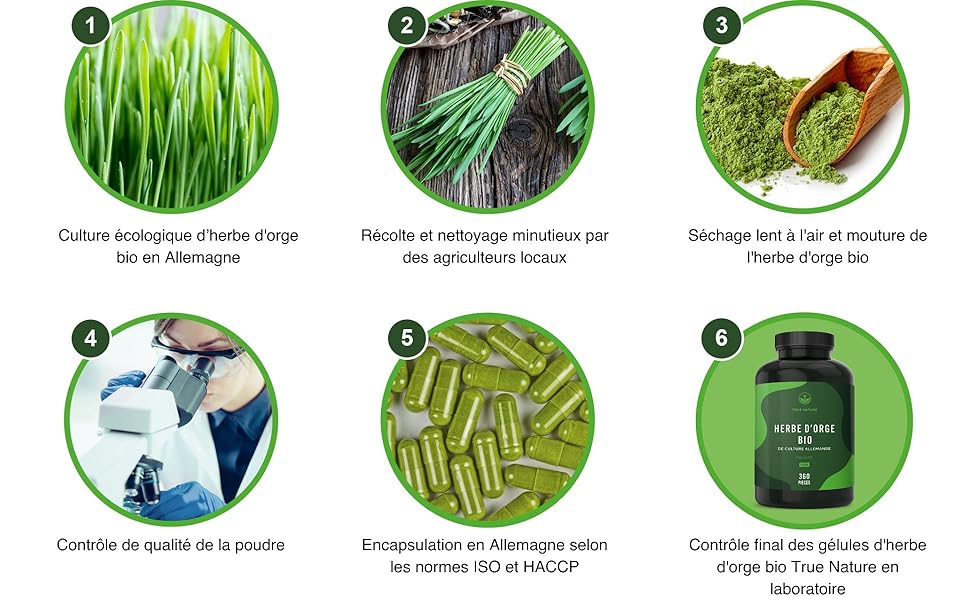 fabrication des gélules a base d'herbe d'orge
