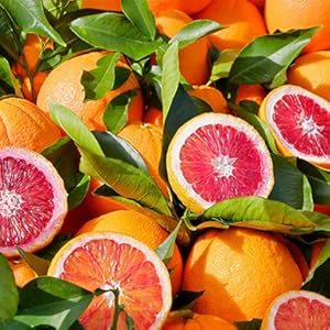 Laeqa Fragrance Story