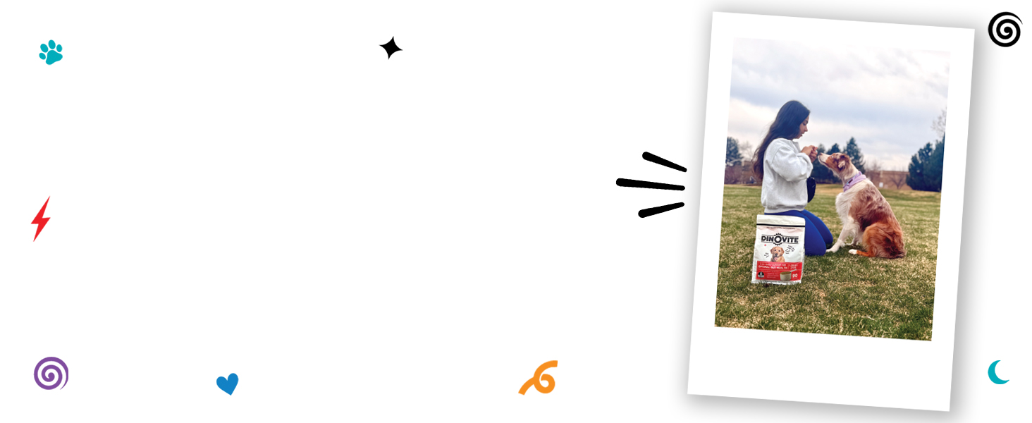 dog supplement, probiotic powder, itchy skin relief, digestive support, healthy coat, omega-3