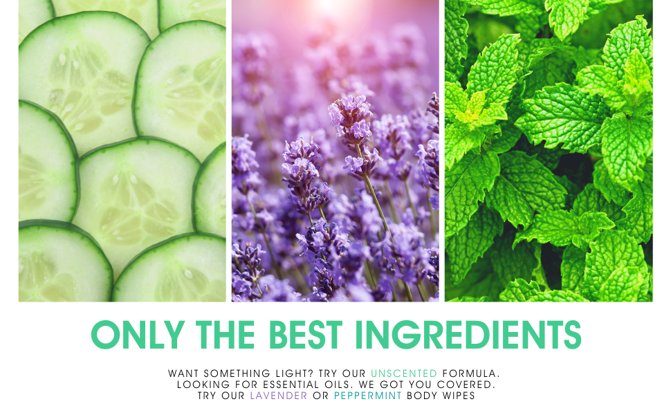 Body Mates Shower ExtraLarge Body Wipes by Stall Mates