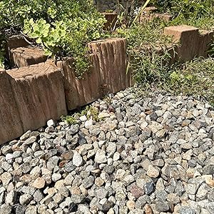 Amazon | 砂利 庭 石 自然石 森ノ瀬 20kg 約20-30mm 敷く 敷き