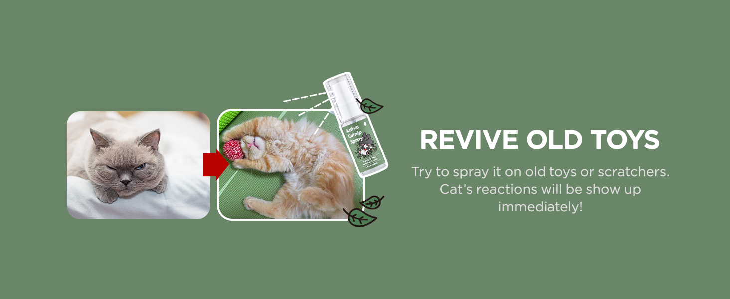 Active Catnip Spray - High Potency Transparent Liquid Spray made of Fresh Organic Catnip for Indoor Cats and Kittens, Relieves Stress, Calming, Revives Toys & Scratching Posts, Exercise (1fl oz) 17 Catnip Spray