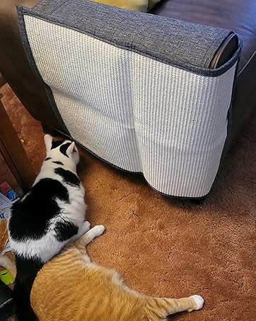 cat scratching mat sofa cat scratch protector