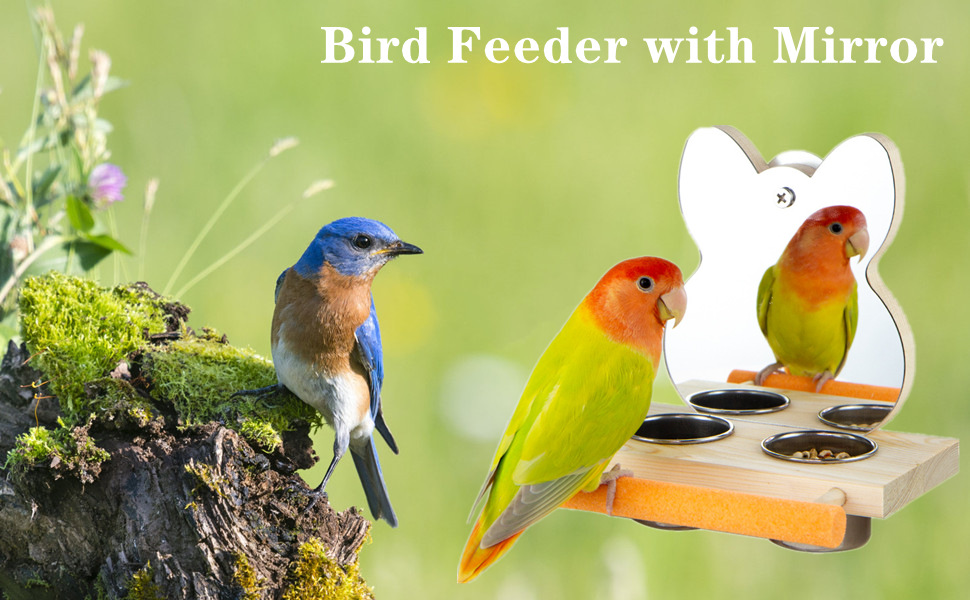 Esenlong Parrot Toys, Bird Mirror Parrot Feeder Toy with Perch Stand