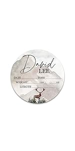 david lee birth stat