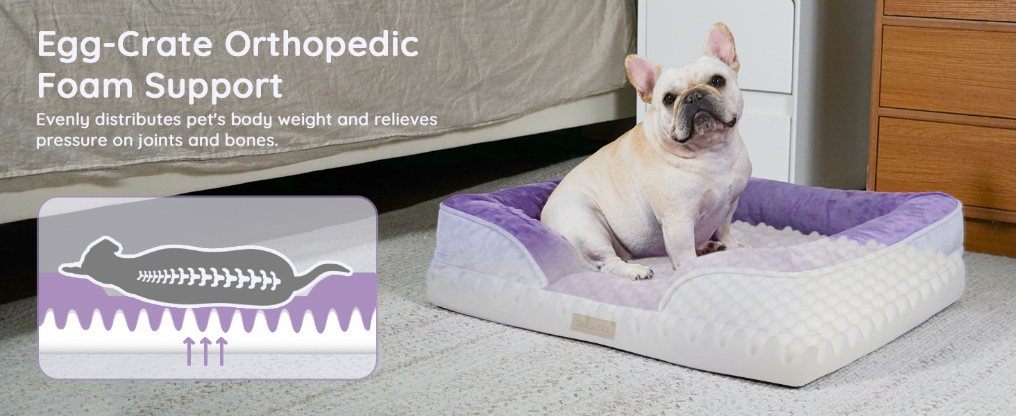 Orthopedic Dog Bed