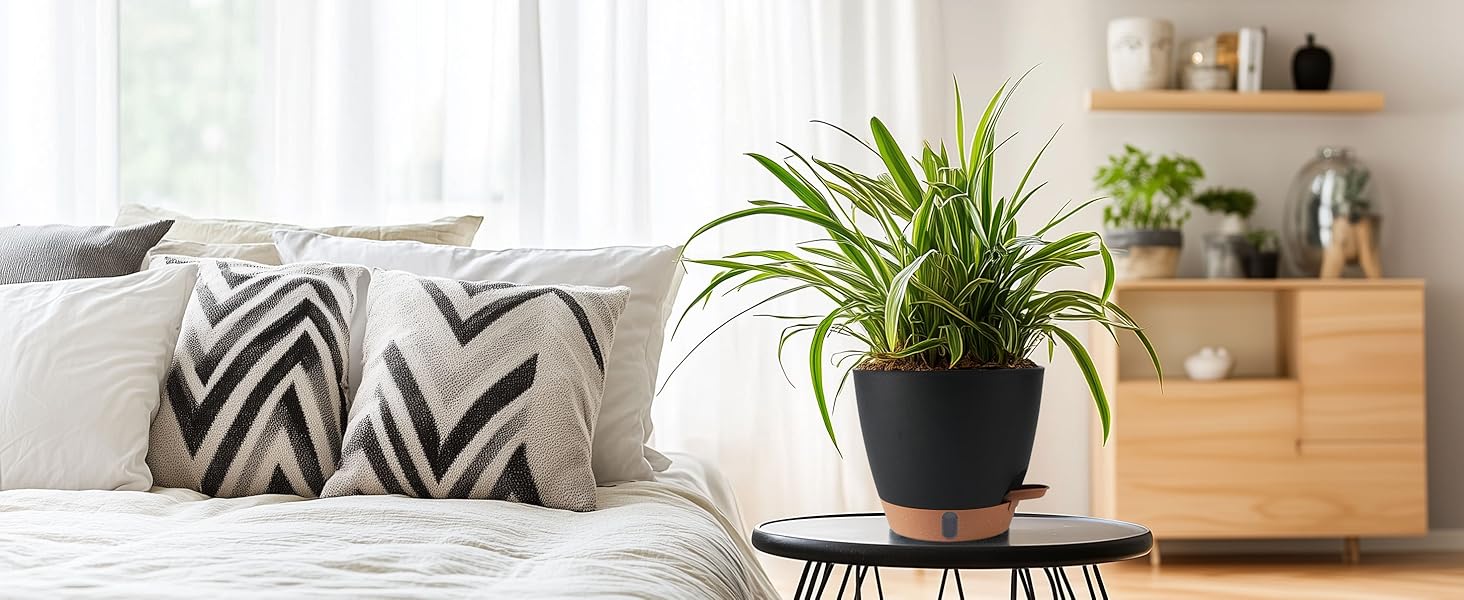 decorative planters for indoor plants