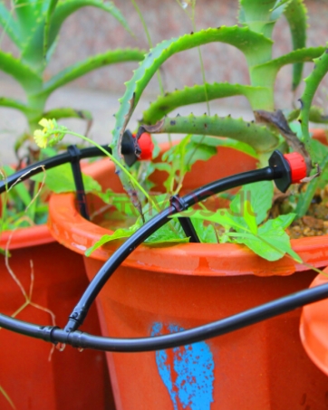 DRIP IRRIGATION