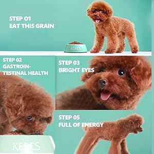 Freeze Dried Food