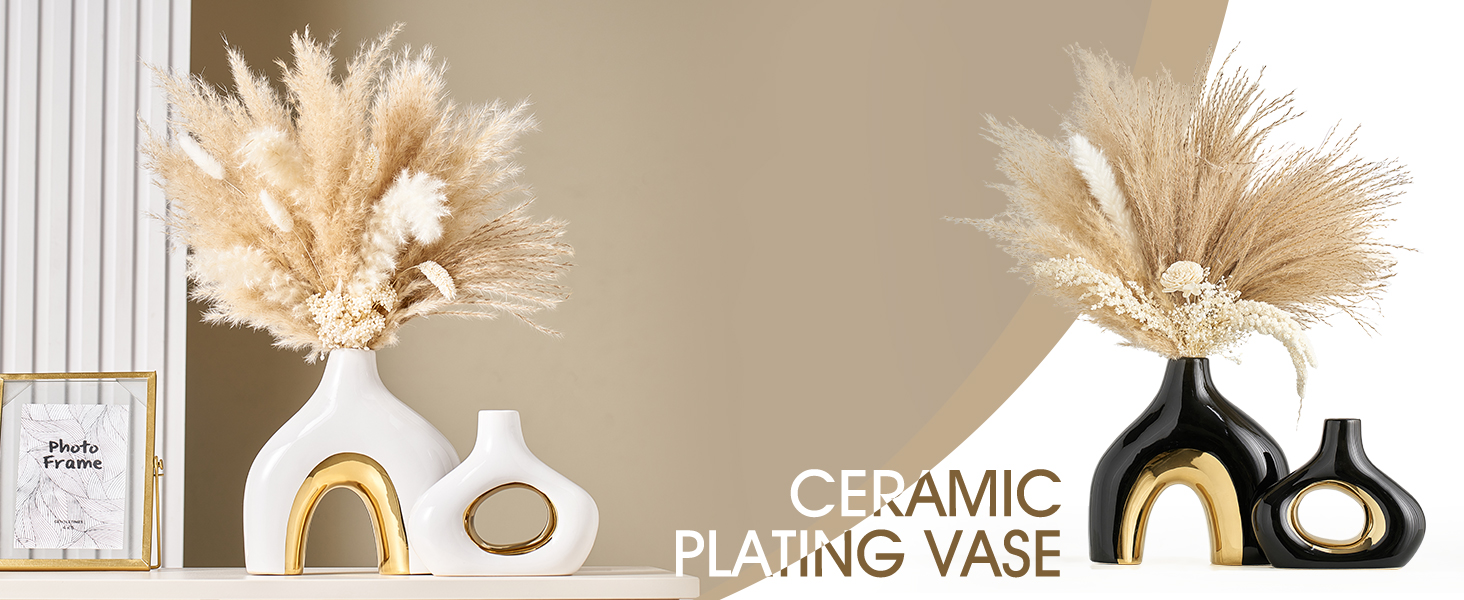 Minimalist Vase Set of 2 for Home Decor