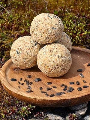 Meisenknödel, Sommer, Winter, Lyra Pet, Vogelfutter, Tiernahrung, Erdnusskerne