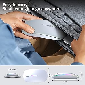 portable mouse