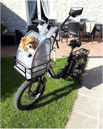 ENGWE E-bike