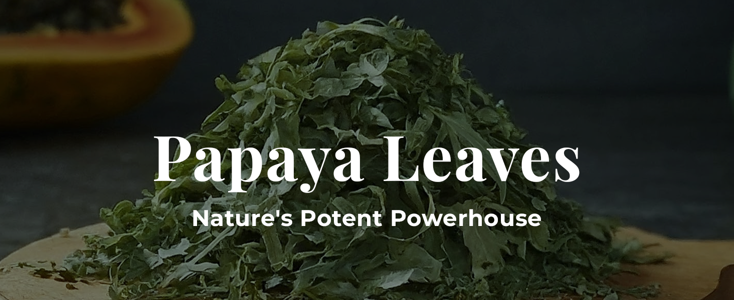 Papaya Leaves 