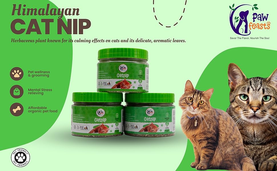 catnip for cats
