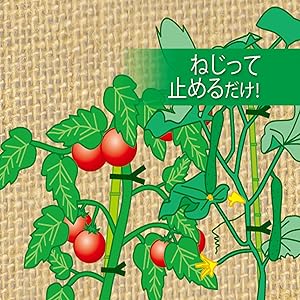 Amazon | 高儀(Takagi) TAKAGI 園芸用 ビニールタイ 150mm 100本