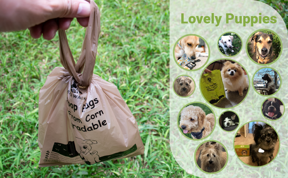 GREENER WALKER Bolsas 100% compostables para excrementos de perros, 20%  extra gruesas y duraderas, 375 bolsas para excrementos para perros con