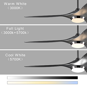 Reverse Ceiling Fan for All Seasons